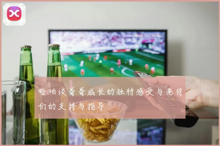 哈珀谈哥哥成长的独特感受与老将们的支持与指导