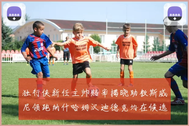 独行侠新任主帅赔率揭晓助教斯威尼领跑纳什哈姆汉迪德克均在候选之中