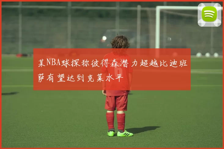某NBA球探称彼得森潜力超越比迪班萨有望达到克莱水平